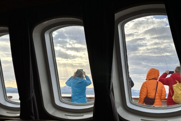 Il turista ideale è marketing politico.